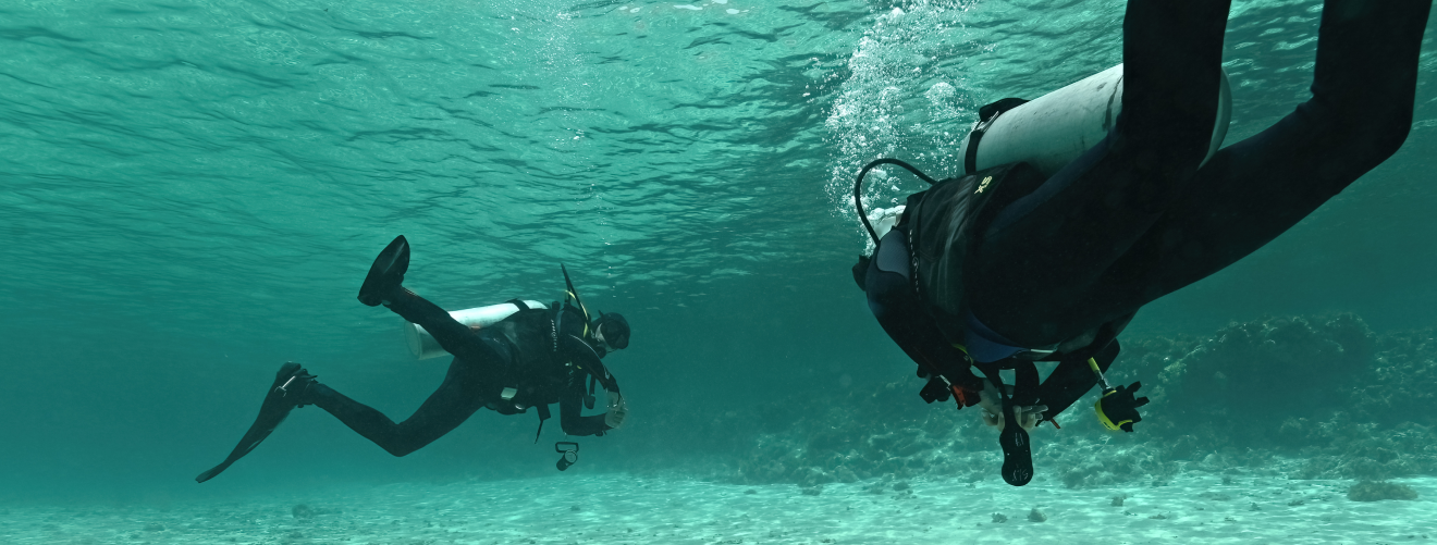 Scuba diver submerge underwater